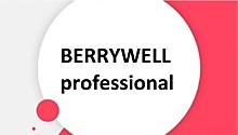 BERRYWELL professional